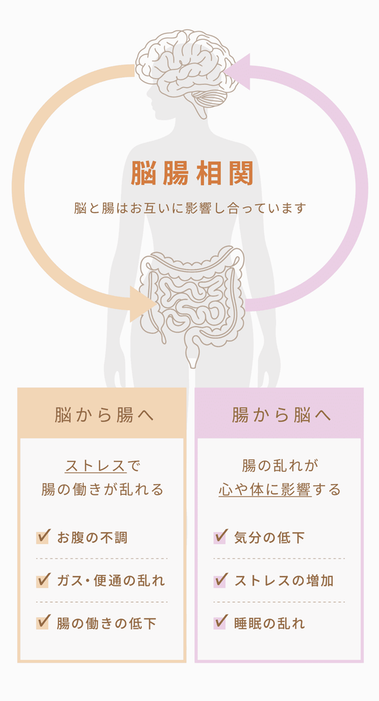 GABAを知る ―  脳科学とAIの視点から見る「リラックス」と「睡眠」のしくみ