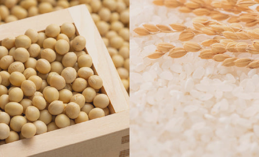 プロテインの新発想。「まめとこめ」1月8日（木）から販売開始