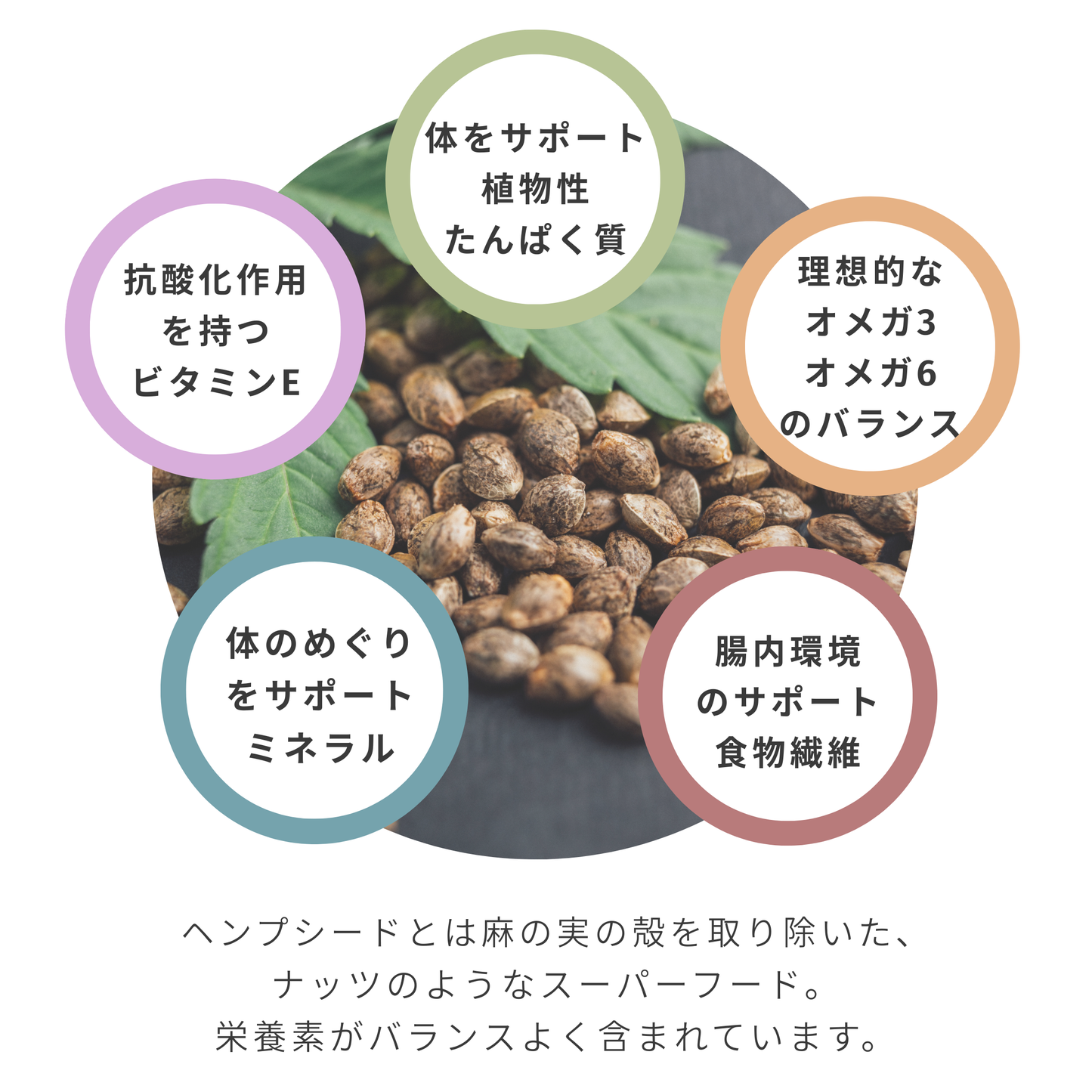 ヘンプシードサプリメント＜ほうじ茶味＞ 14包