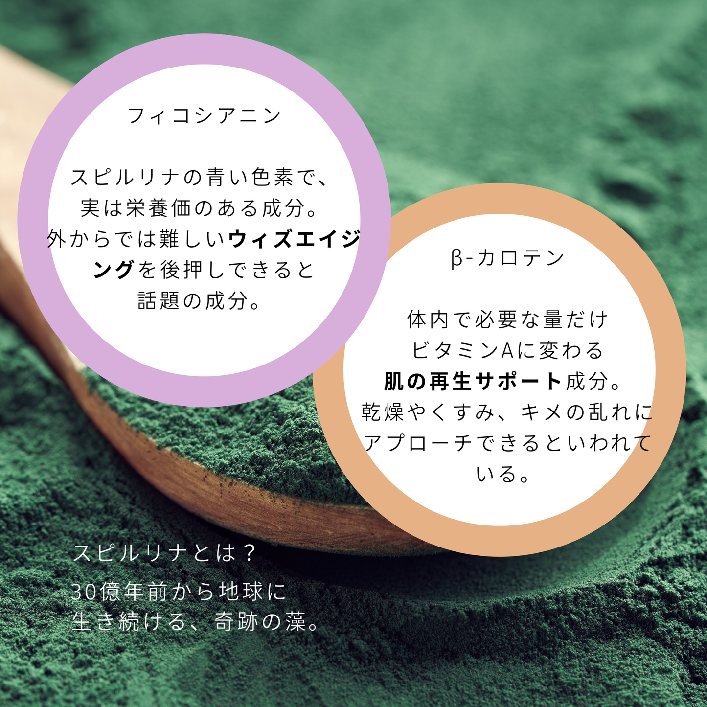 ヘンプシードサプリメント＜ほうじ茶味＞ 14包