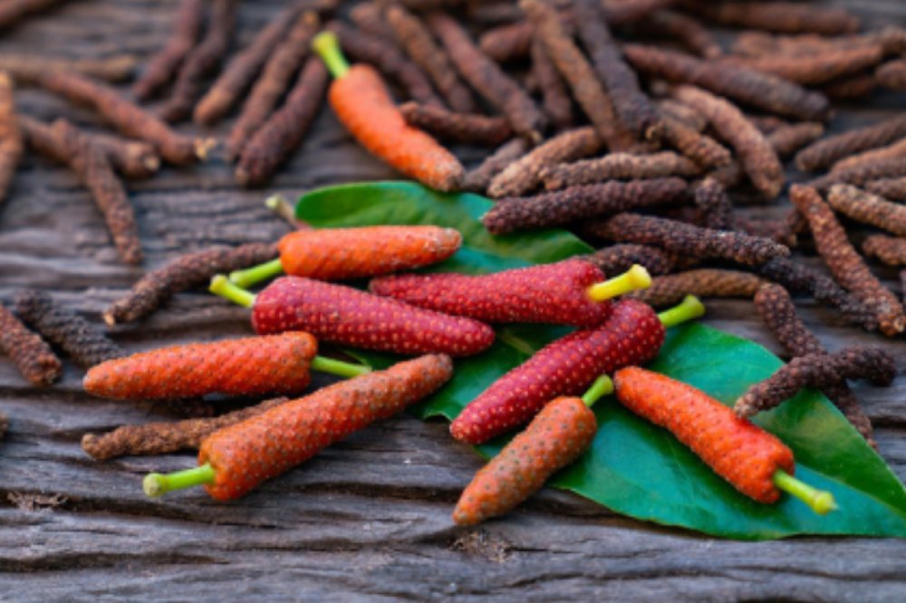 まめとこめ＜代謝を燃やす活力（スパイスモカ味）＞